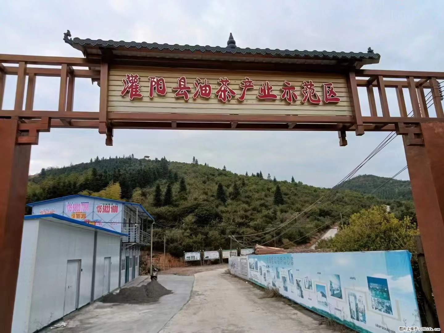 【灌阳县油茶产业示范区】一个有着充实的精神生活的人,对待身外之物自会有一种淡泊的态度 - 土特产 - 饮食特产 - 广州分类信息 - 广州28生活网 gz.28life.com