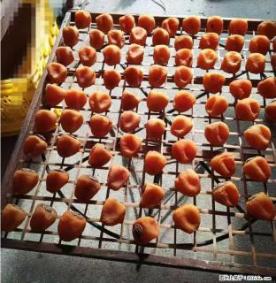 广西桂林平乐桥亭【柿饼之乡】2025年纯手工制作、无任何添加剂的第一批柿饼准备上市了，欢迎联系订购！ - 广州28生活网 gz.28life.com