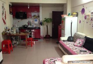 天鹅花苑精装两房 黃金楼层 通风采光 家电齐全 可拎包入住！ - 广州28生活网 gz.28life.com