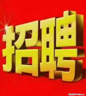 【东莞市威萨电子科技有限公司】公司直招:外贸业务、仓管员、跟单文员、普工 - 广州28生活网 gz.28life.com