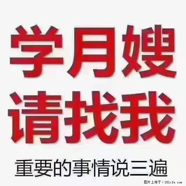 【招聘】月嫂，上海徐汇区 - 其他招聘信息 - 招聘求职 - 广州分类信息 - 广州28生活网 gz.28life.com