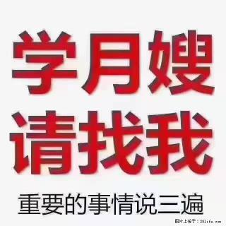 【招聘】月嫂，上海徐汇区 - 广州28生活网 gz.28life.com