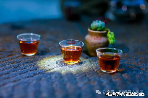 时间果百年古树2025年春红茶 - 购物交流 - 广州生活社区 - 广州28生活网 gz.28life.com