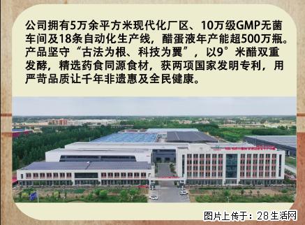 被老祖宗的食疗智慧拿捏了懒人养生本命醋蛋液 - 保健品 - 饮食特产 - 广州分类信息 - 广州28生活网 gz.28life.com