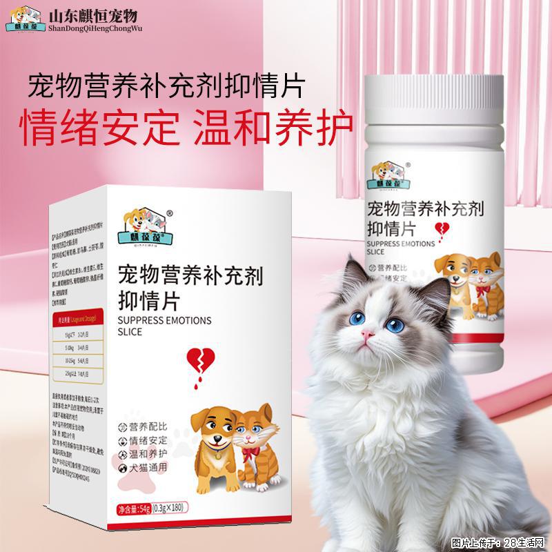猫狗发情闹得人崩溃？美佳星抑情片，温和安稳度过发情期 - 其它 - 宠物信息 - 广州分类信息 - 广州28生活网 gz.28life.com