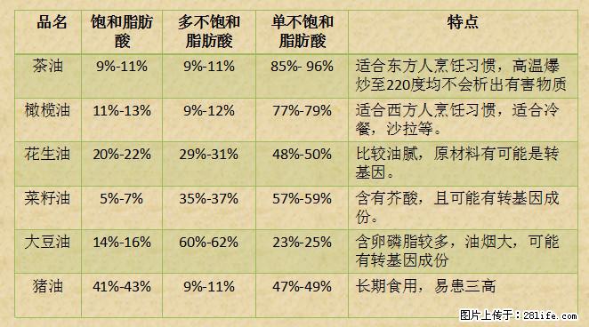 揭秘茶油的5大核心营养成分!被称为人体健康的“守护盾”! - 广州生活资讯 - 广州28生活网 gz.28life.com