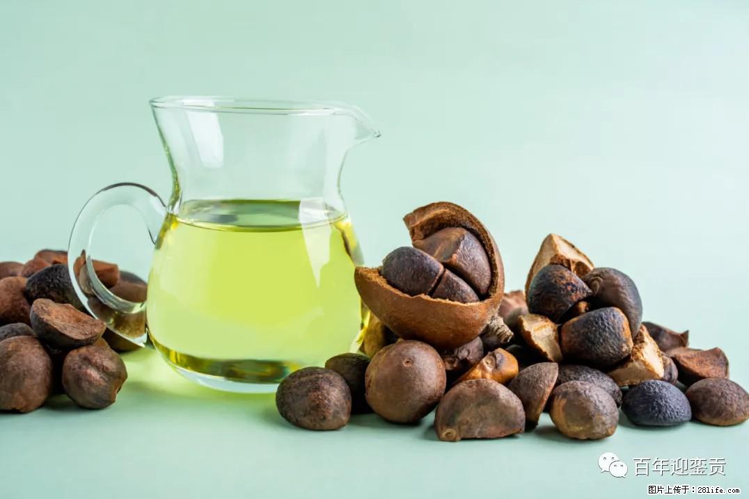世界没有真相，只有认知，最好的食用油是中国的山茶油！ - 广州生活资讯 - 广州28生活网 gz.28life.com