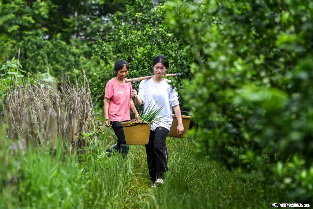 全网追的“扁担女孩”，找了一份暑假工，时薪12元 - 广州生活资讯 - 广州28生活网 gz.28life.com