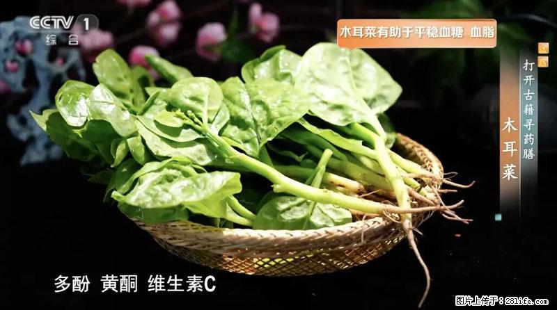 比牛奶补钙还厉害!凉血解毒、稳血糖...这菜冬天必吃,很多人却当草 - 广州生活资讯 - 广州28生活网 gz.28life.com