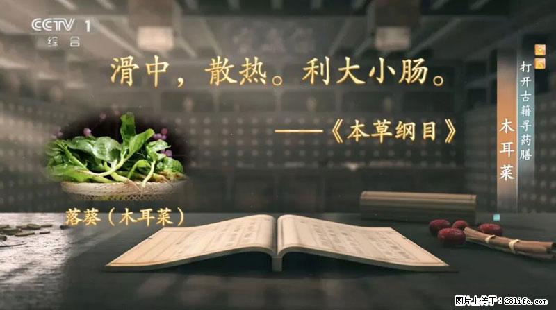 比牛奶补钙还厉害!凉血解毒、稳血糖...这菜冬天必吃,很多人却当草 - 广州生活资讯 - 广州28生活网 gz.28life.com