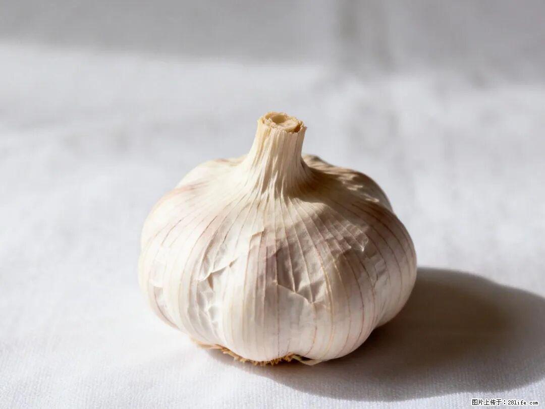 关于大蒜，除了“天然抗生素”，这4个谣言更该警惕! - 广州生活资讯 - 广州28生活网 gz.28life.com