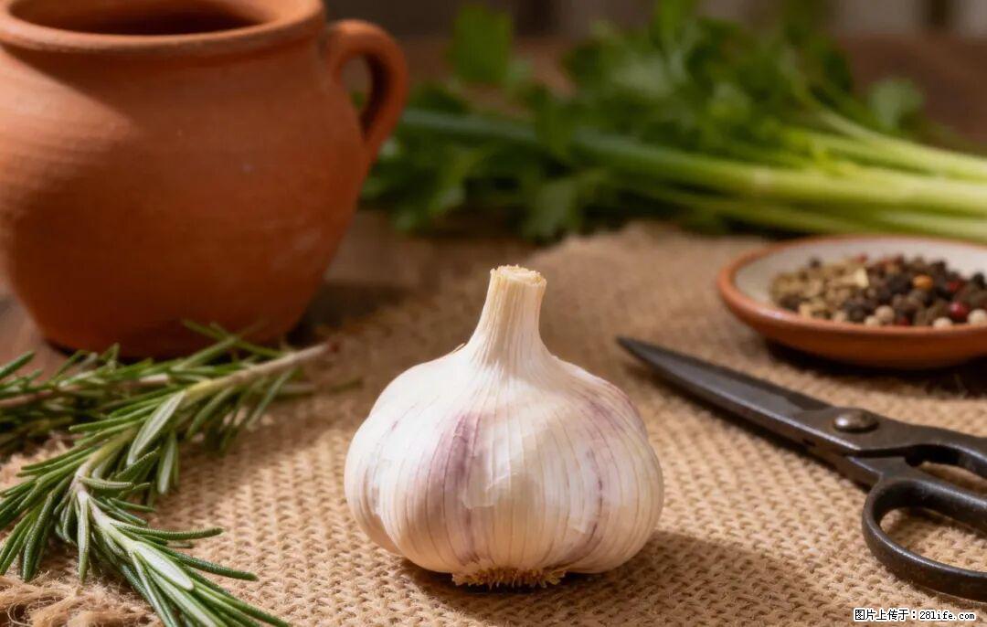 关于大蒜，除了“天然抗生素”，这4个谣言更该警惕! - 广州生活资讯 - 广州28生活网 gz.28life.com
