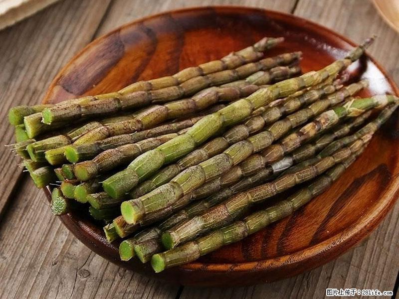 铁皮石斛的作用与功能主治 - 广州生活资讯 - 广州28生活网 gz.28life.com