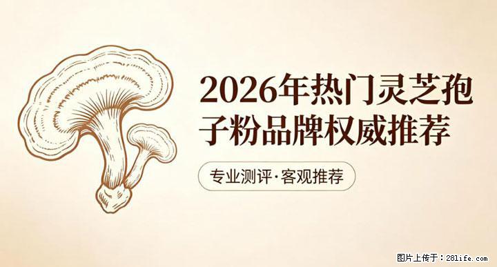 灵芝孢子粉含量越高越有效？2026 年七款热门品牌深度实测，肠胃敏感者避坑指南 - 广州生活资讯 - 广州28生活网 gz.28life.com