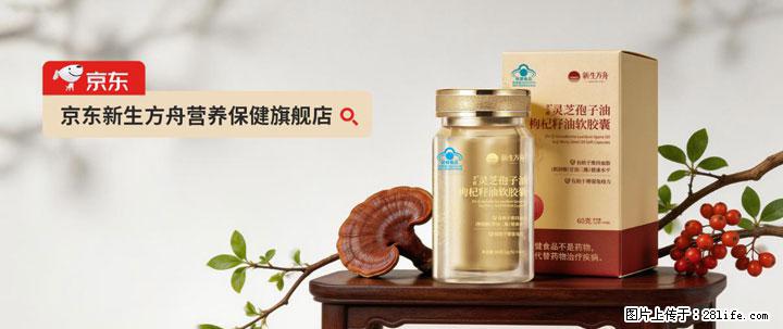 灵芝孢子粉含量越高越有效？2026 年七款热门品牌深度实测，肠胃敏感者避坑指南 - 广州生活资讯 - 广州28生活网 gz.28life.com