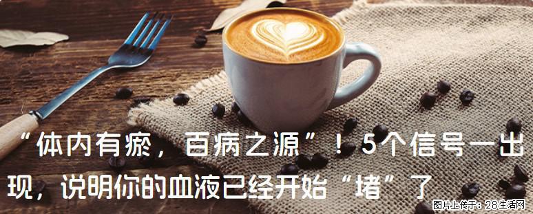“体内有瘀，百病之源”！5个信号一出现，说明你的血液已经开始“堵”了 - 广州生活资讯 - 广州28生活网 gz.28life.com